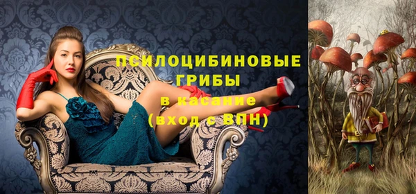 соль курить ск Арсеньев