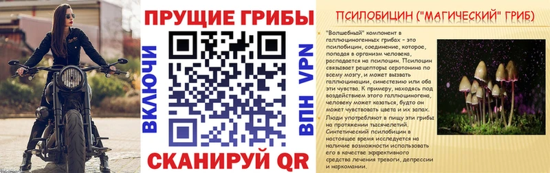 KRAKEN как зайти  Аша  Псилоцибиновые грибы прущие грибы  наркотики 
